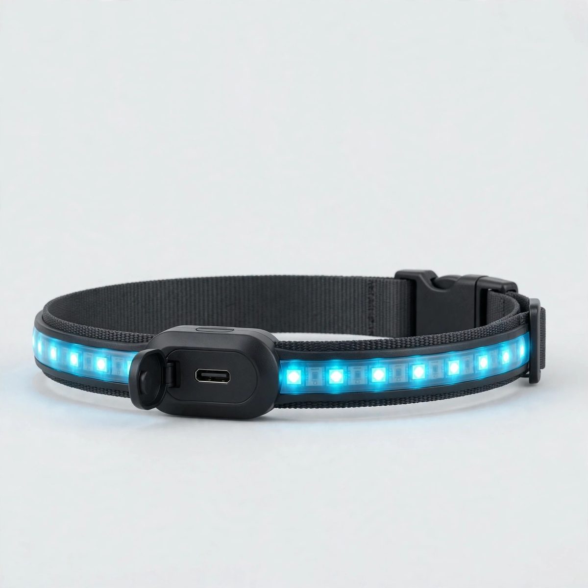 WanderWag USB-Rechargeable LED Dog Collar